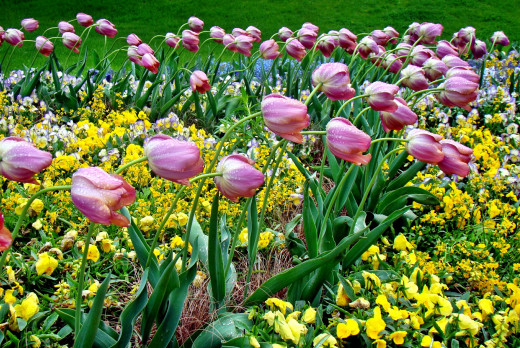 731764 (a): :2550x1704